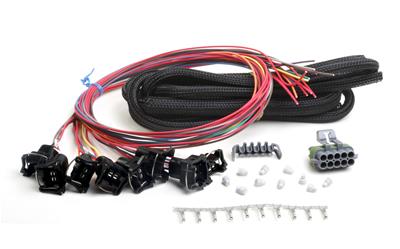 Holley EFI Systems Wiring Harnesses 558-204