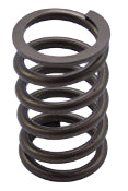 Powerglide High Performance Servo Spring