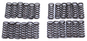 Powerglide Direct Drum Spring Kit